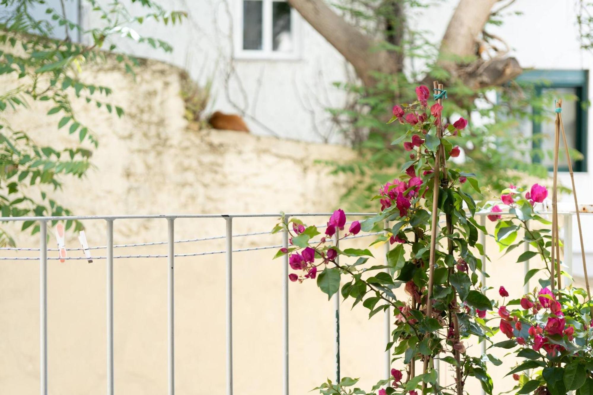 1br Stylish 20 Minutes From Acropolis Apartament *